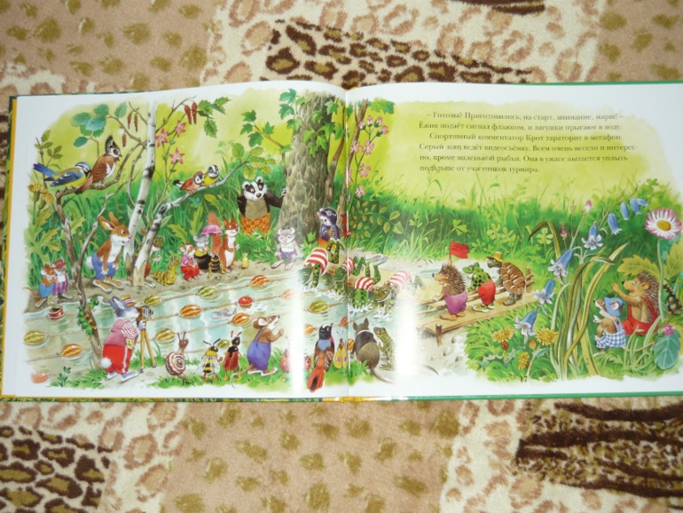 Книжки двух мальчишек