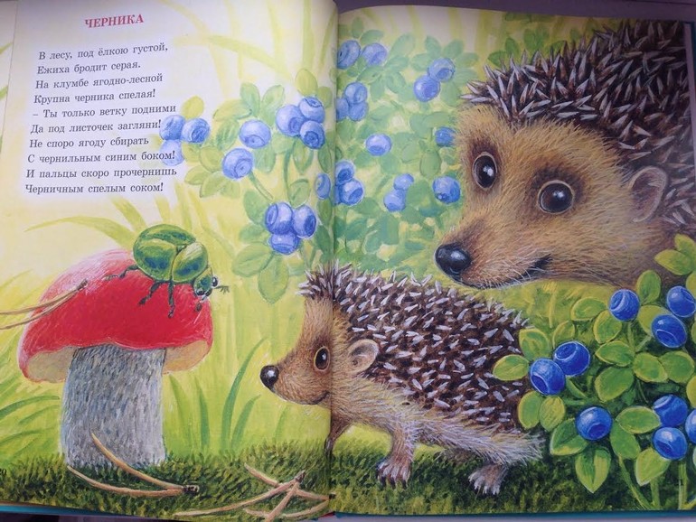 Наша небольшая библиотека