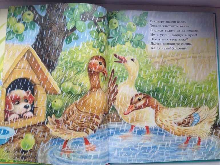 Наша небольшая библиотека