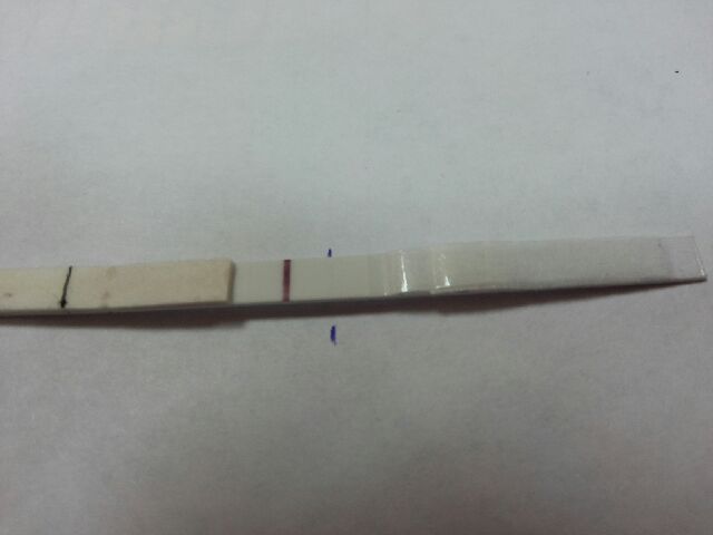 Если и в этот раз пролет,то все на самотек...