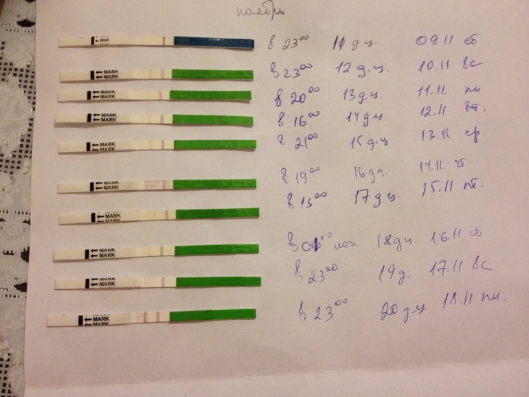 Я ее поймала! Нужен совет!
