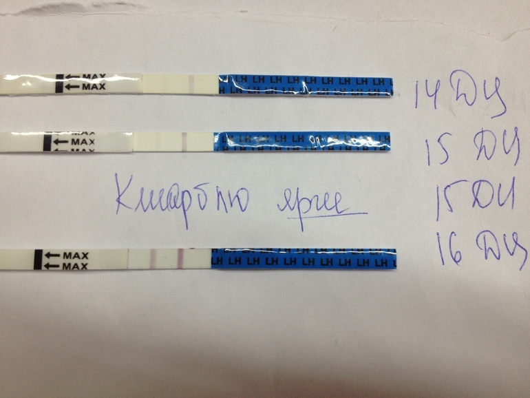 Первые тесты на О.. Хэлп!