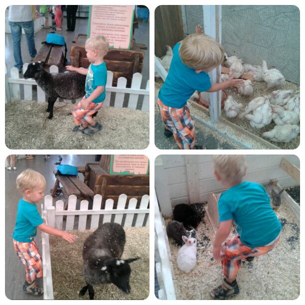 Контактный зоопарк на ВВЦ