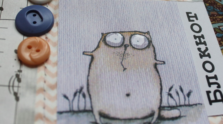 Кому КОТА? :)