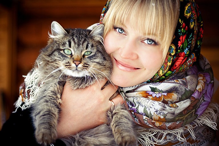 Russian kitty. Котята. Русская голубая шартрез корат. Russian kitty. Russian kitty.