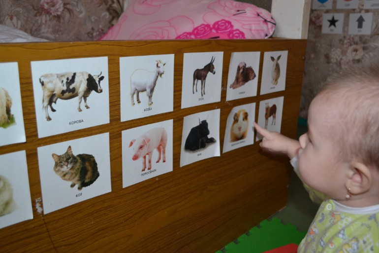 Пластилиновый день (и не только)