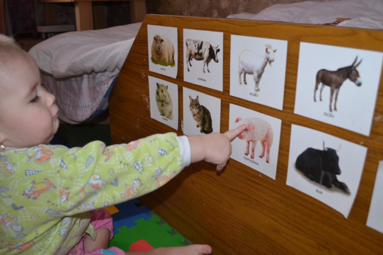 Пластилиновый день (и не только)