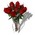 d3f53593fa5ccae0a95a8b05d58edb35.gif