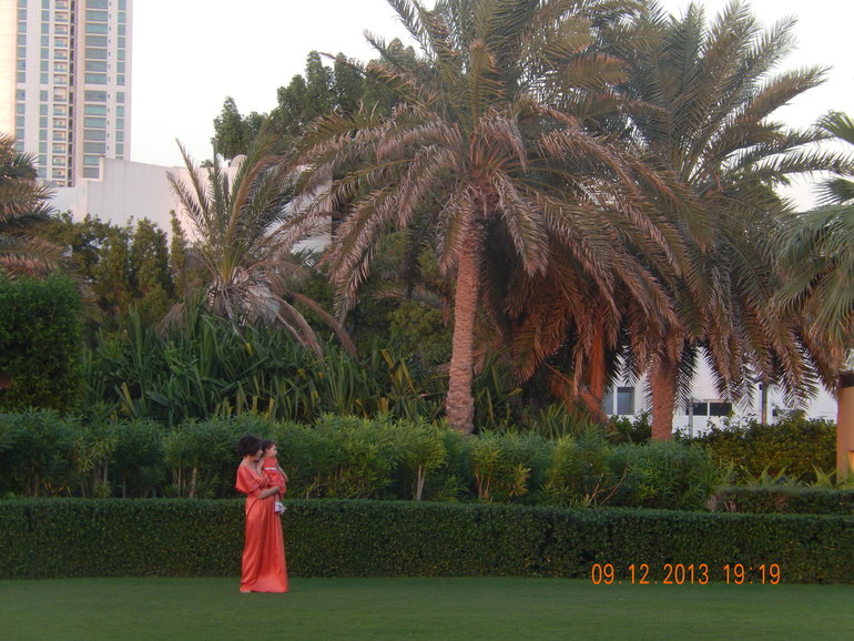 Coral Beach Resort 4* в Шарже, декабрь 2013 г.