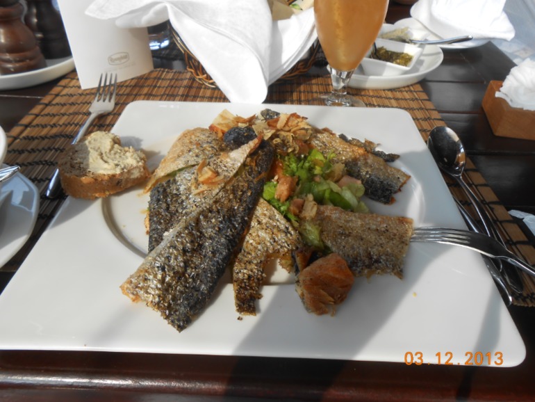 Coral Beach Resort 4* в Шарже, декабрь 2013 г.