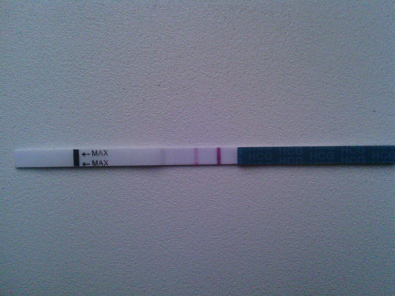 малыш растет...полосочки ярчают!))))