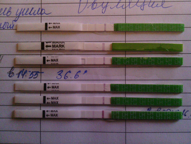 Моя Овушка))) ловись большая и маленькая)))))