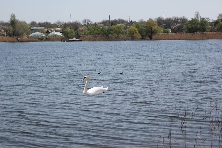 Урой№ 2 ВЫРЕЗАЕМ ОБЪЕКТ