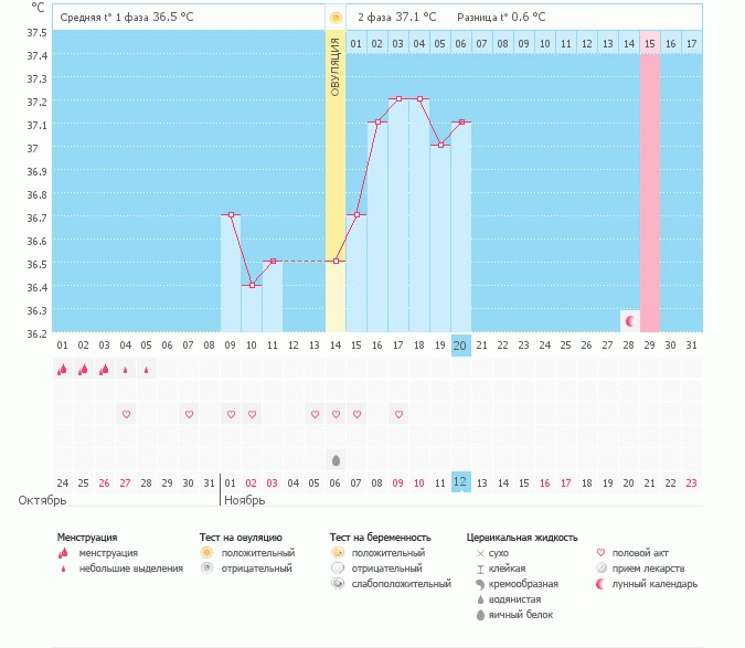 Посмотрите мой график, есть ли шанс?когда можно темт сделать?