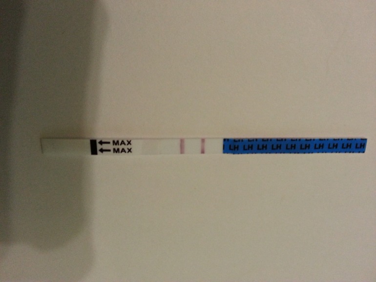 Это 100% Овуляция ??