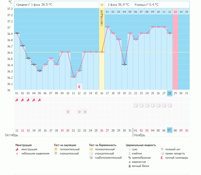 Девочки, что скажите про мой график? Возможна ли беременность?