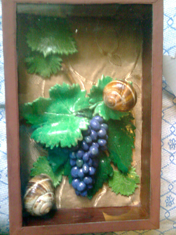 мукосольки