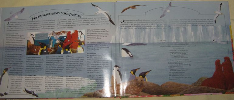 Наши книжки-картонки с сюрпризами