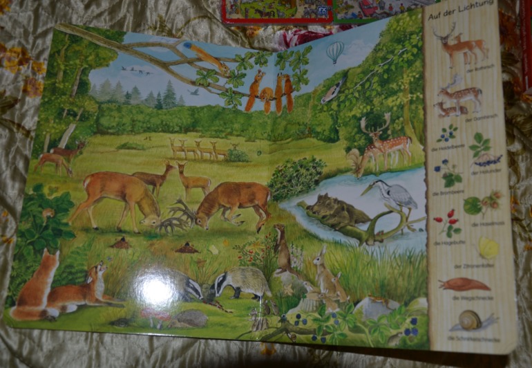 Wimmelbuch.Огромное количество фото