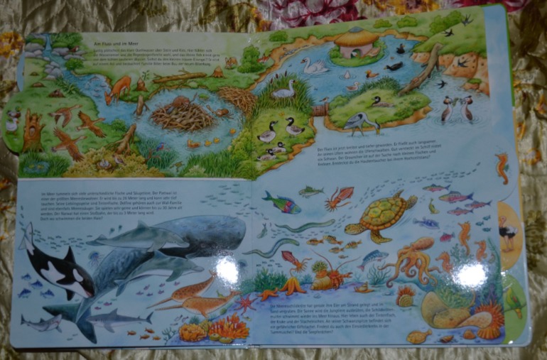 Wimmelbuch.Огромное количество фото