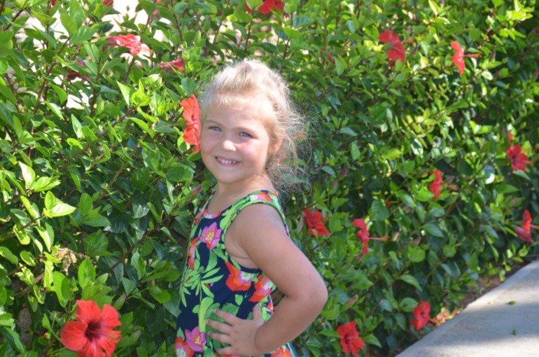 Aquis Zorbas Village и наши поездки по Криту. 2 часть