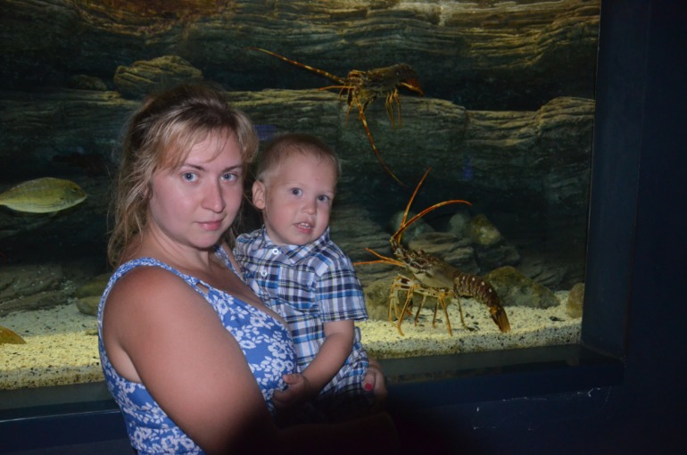 Aquis Zorbas Village и наши поездки по Криту. 2 часть