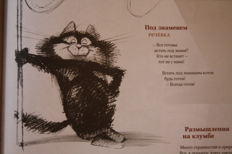 Полное собрание котов