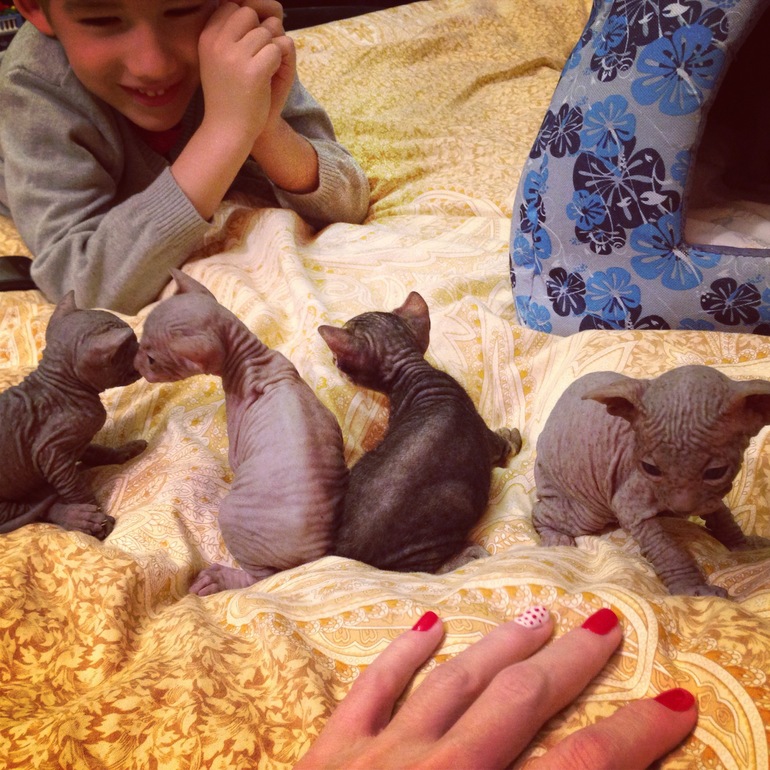 Мой дет.сад))))