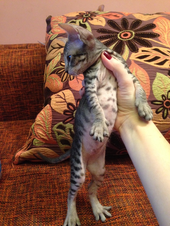 Наши малышастики!!!