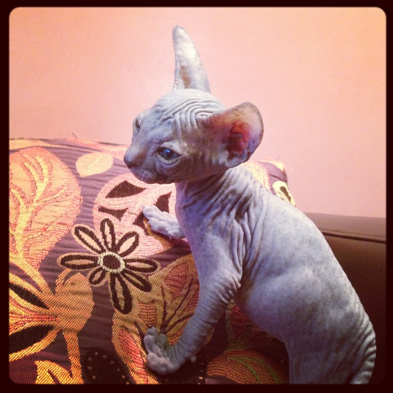 Наши малышастики!!!