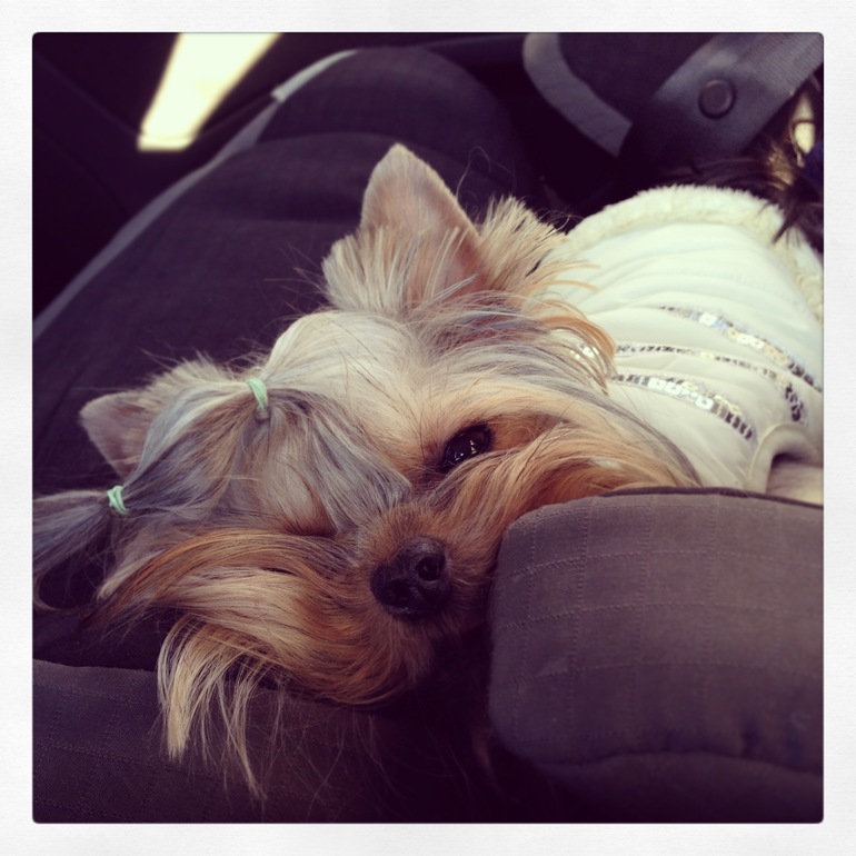 Куськины дела!