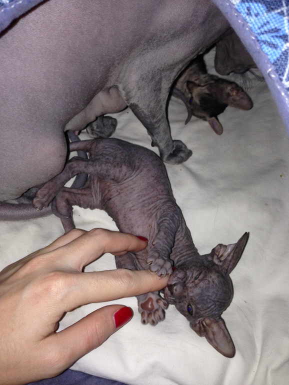 1 месяц ушастикам!!!))