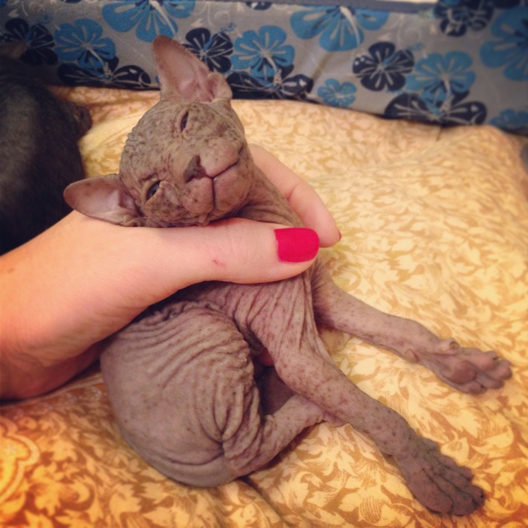 Мой дет.сад))))