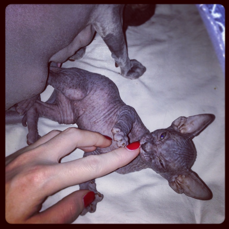 1 месяц ушастикам!!!))