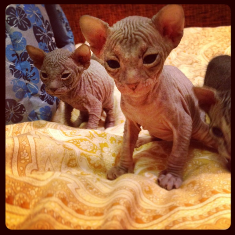 Мой дет.сад))))