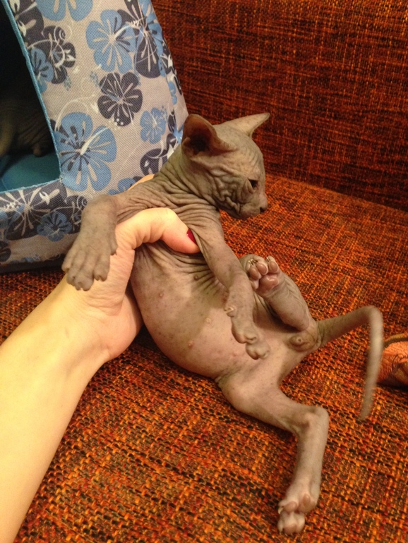 Наши малышастики!!!