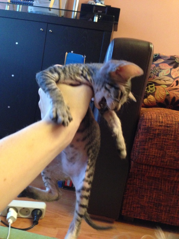 Наши малышастики!!!