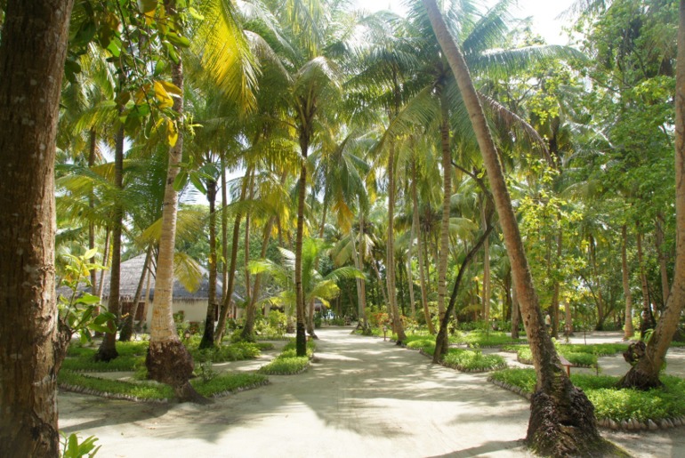 Про Мальдивы с двумя детьми - Часть 2 - Palm Beach Resort