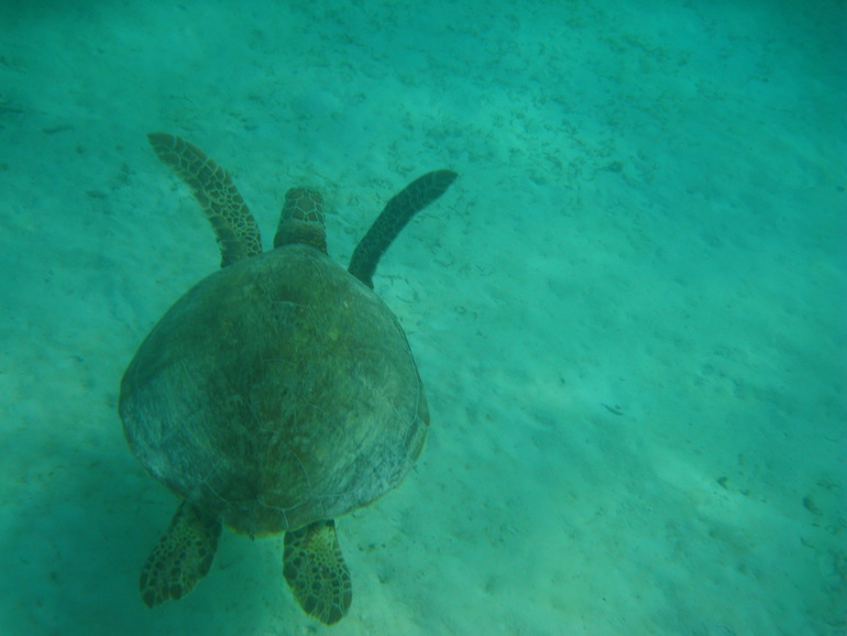 Про Мальдивы с двумя маленькими детьми