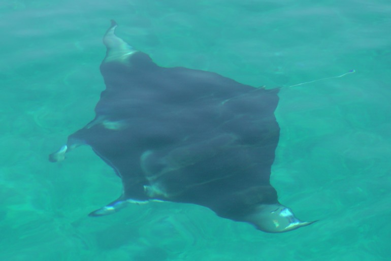 Про Мальдивы с двумя детьми - Часть 2 - Palm Beach Resort