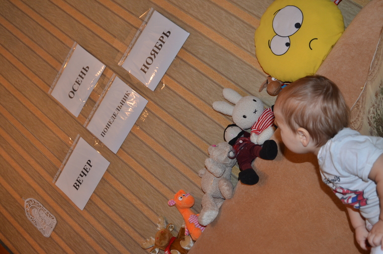 Наши развивающие занятия - 11 месяцев