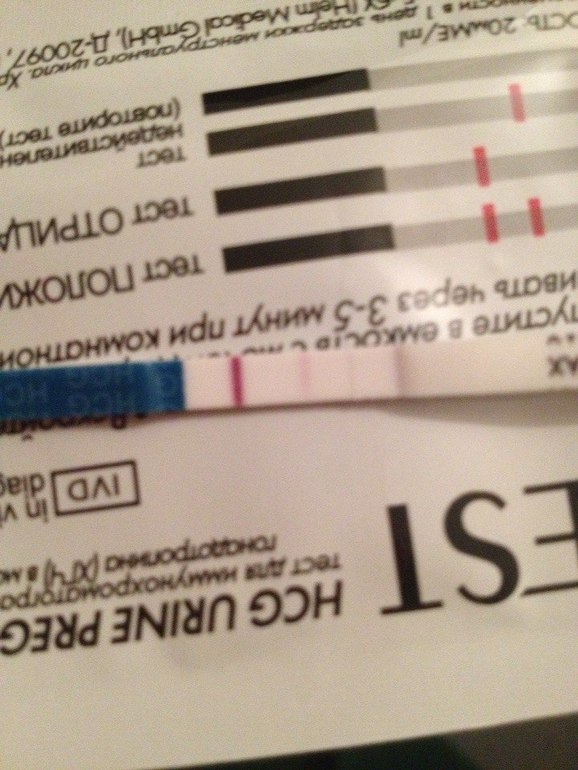 1 ДЗ/ 13 ДПО/ 33 ДЦ