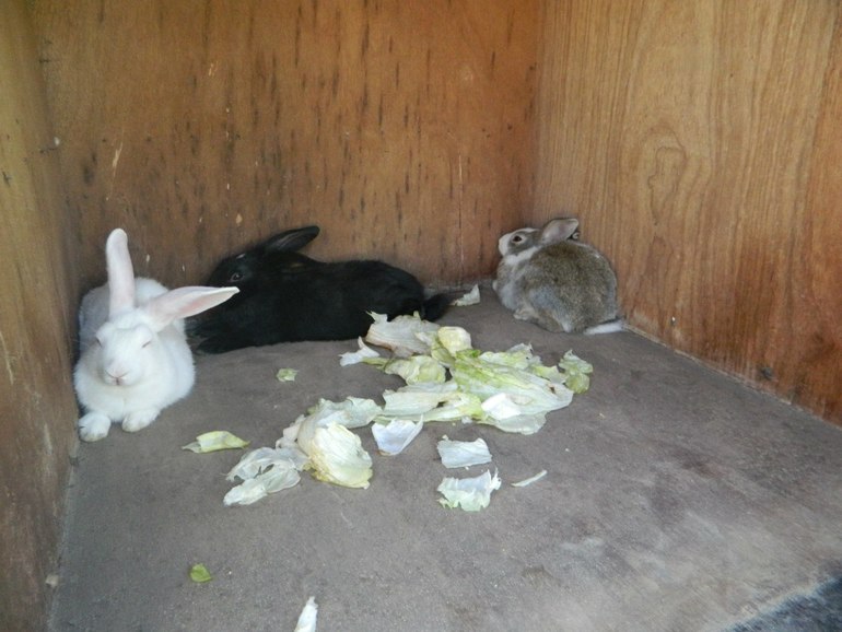 Египет Хургада Март