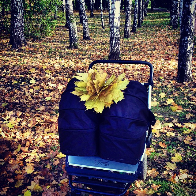 Принимайте новеньких!