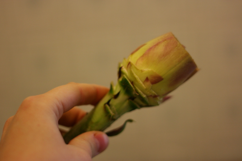 Гарнир: артишоки