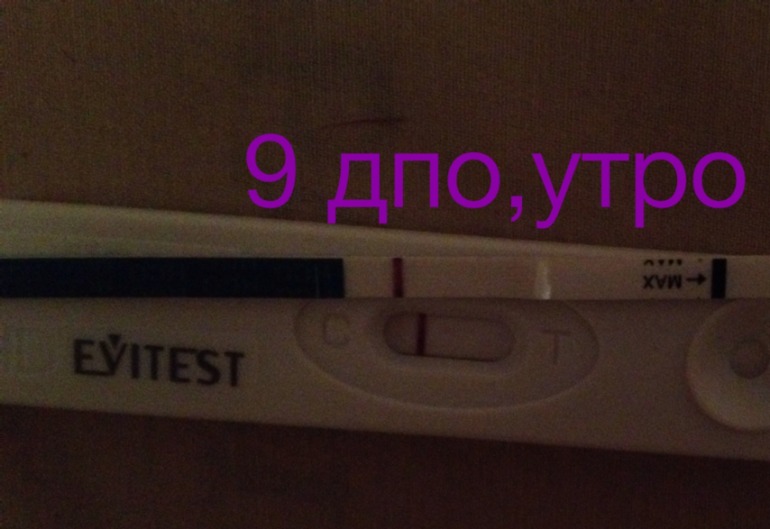 Рано радовалась((