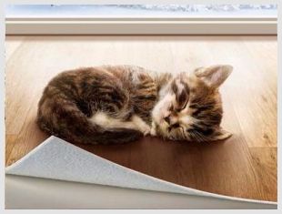 Виды линолеума: рассматриваем характеристики и выбираем материал