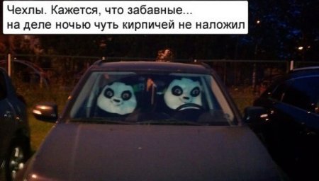 Забавные чехлы