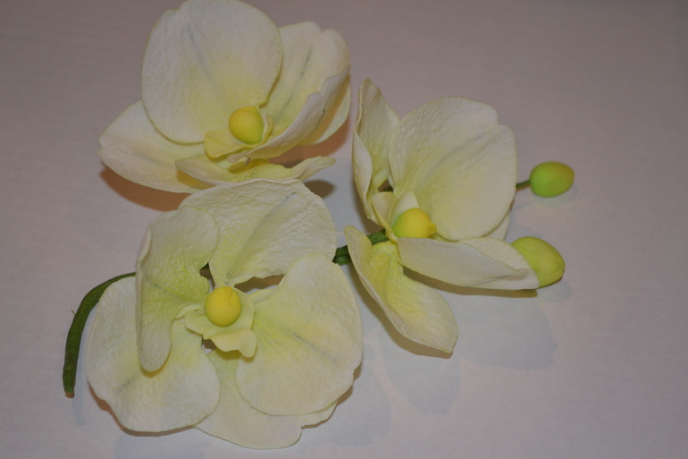 Мои первые настоящие сахарные орхидеи!!!!