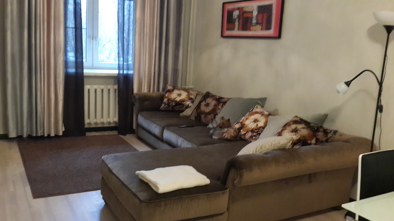 Гостиная +столовая